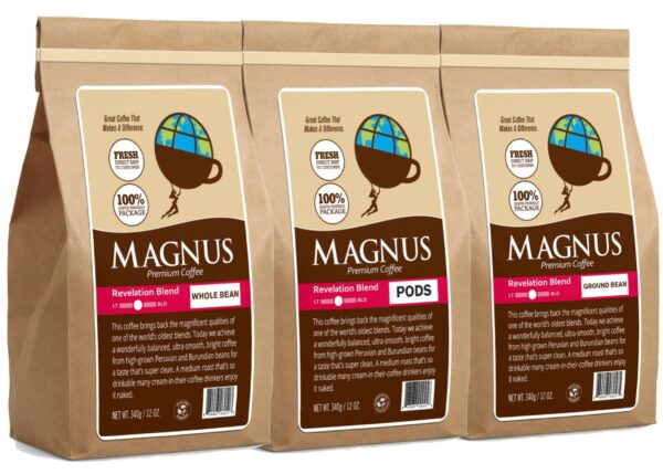 MAGNUS Revelation - Image 2